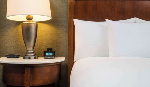 Presidential Suite, Accessible (Roll-in Shower)