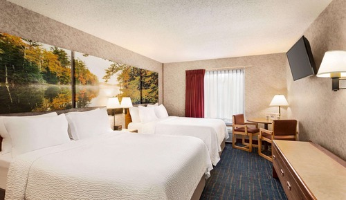 Suite, 1 Queen Bed