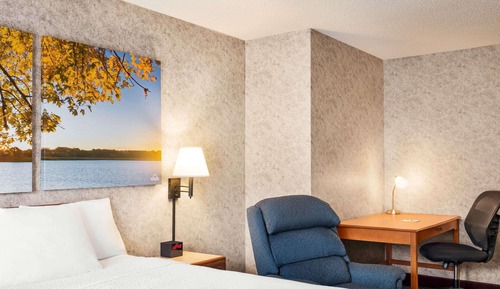 Business Room, 1 King Bed, Non Smoking (Pet Friendly)