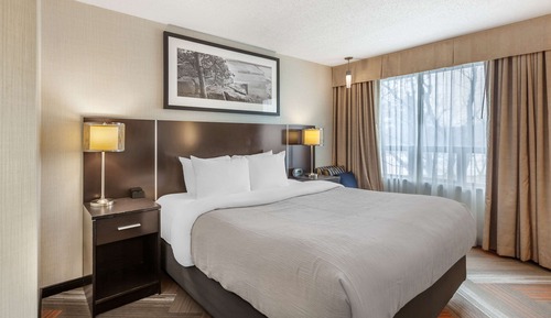 Business Room, 1 King Bed with Sofa bed, Non Smoking
