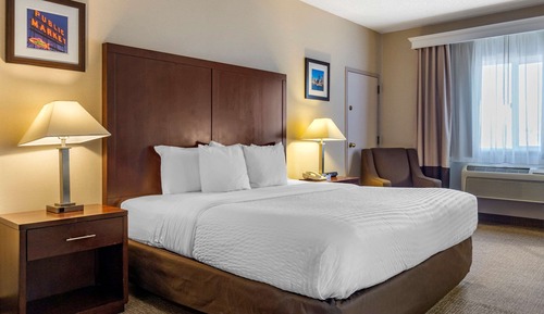 Suite, 1 King Bed with Sofa bed, Non Smoking