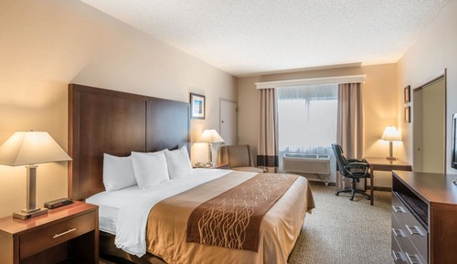 Standard Room, 1 King Bed, Non Smoking