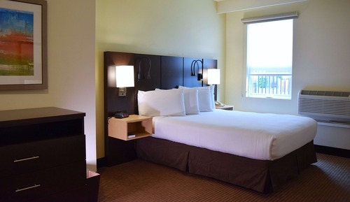 Executive Suite, 1 Queen Bed, Non Smoking, Refrigerator & Microwave (Living Room)