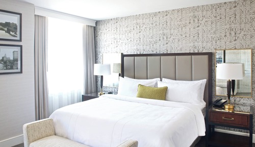 Room, 1 King Bed with Sofa bed