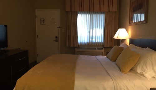 Standard Room, 1 King Bed