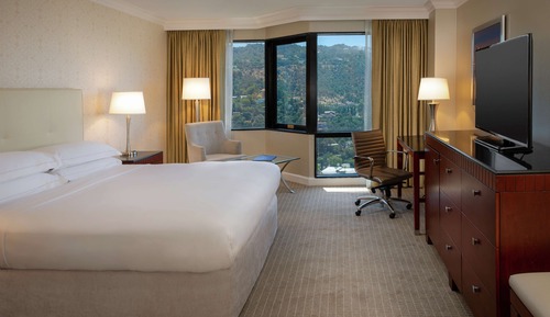 Room, 1 King Bed, Accessible (Roll-In Shower)