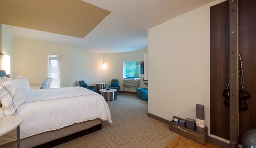 Suite, 1 King Bed, Mobility Accessible (Mobility, Roll-In Shower)