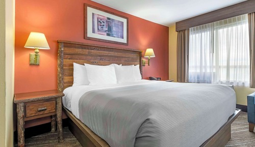 Standard Room, 1 King Bed, Non Smoking