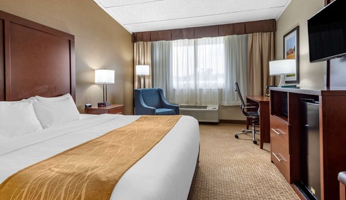 Room, 1 King Bed, Accessible, Non Smoking