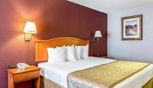 Room, 1 King Bed