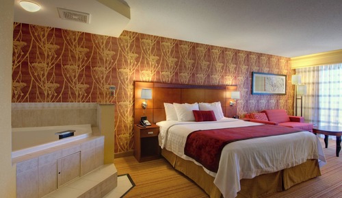 Premium Room, 1 King Bed, Non Smoking