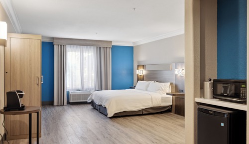Room, 1 King Bed, Roll-in Shower (Communications, Mobility)