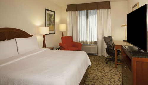 Room, 1 King Bed