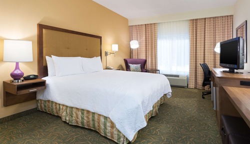 Room, 1 King Bed, Non Smoking