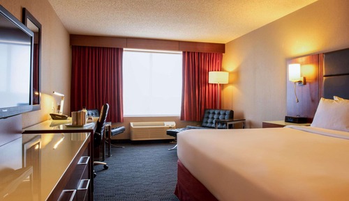 Room, 1 King Bed