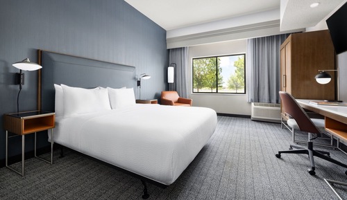 Room, 1 King Bed
