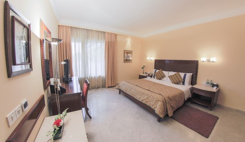 One Bedroom Apartment 