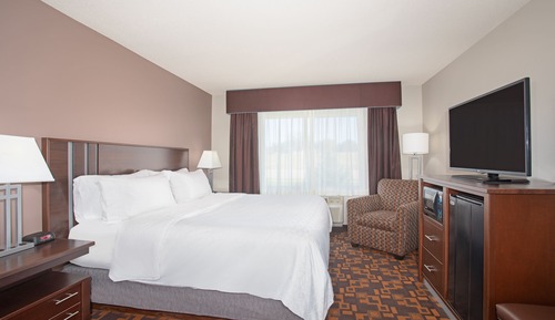 Suite, 1 King Bed with Sofa bed