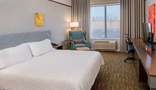 Room, 1 King Bed (Drinks & Snacks)