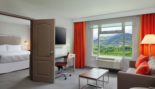 Suite, 1 King Bed with Sofa bed