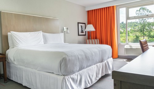 Standard Room, 1 King Bed