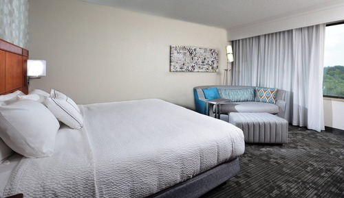 Room, 1 King Bed with Sofa bed (Mobility/Hearing Access, Roll-In Shwr)