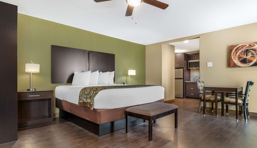 Suite, 1 King Bed, Non Smoking, Kitchen (with Sofabed)