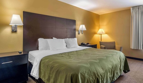 Room, 1 King Bed, Accessible, Non Smoking (Roll-In Shower)