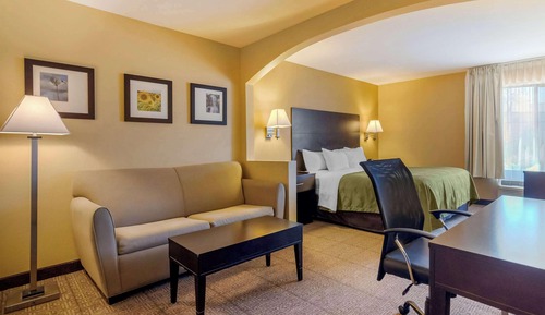 Suite, 1 King Bed with Sofa bed