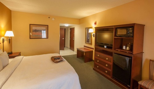 Room, 1 King Bed, Accessible, Non Smoking