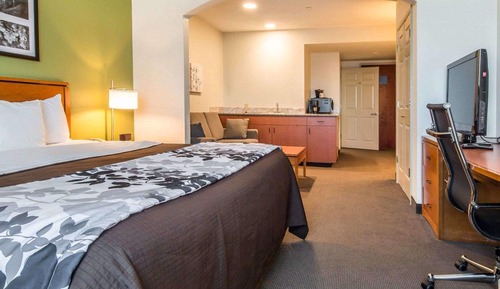 Suite, 1 King Bed with Sofa bed, Non Smoking