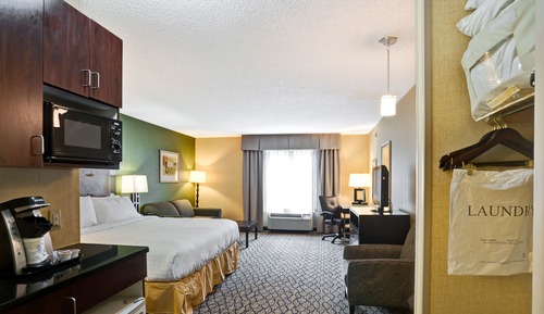 Suite, 1 King Bed