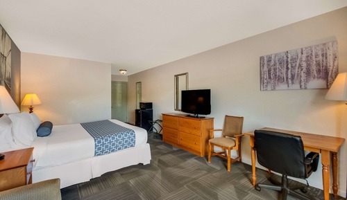 Standard Room, 1 King Bed, Non Smoking, Refrigerator & Microwave