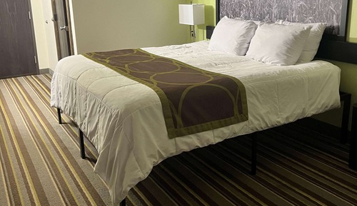 Suite, 1 King Bed, Microwave
