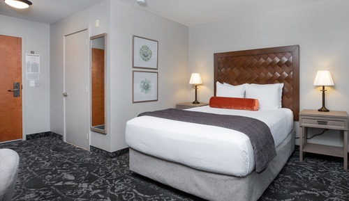Queen Guestroom