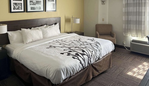 Room, 1 King Bed, Accessible, Non Smoking
