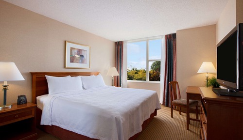 Suite, 1 King Bed