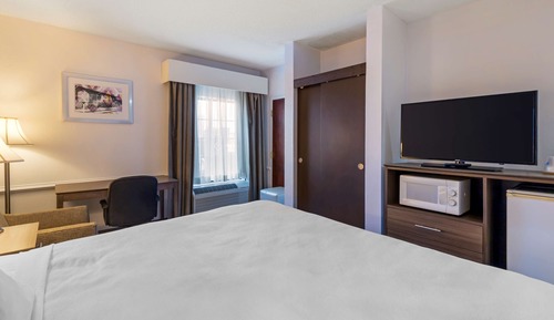 Standard Room, 1 King Bed, Accessible, Refrigerator & Microwave