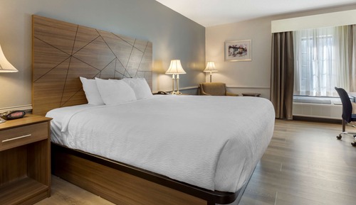 Standard Room, 1 King Bed, Non Smoking, Refrigerator & Microwave