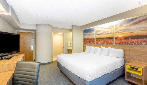 Suite, 1 King Bed with Sofa bed, Non Smoking (Newly Renovated)