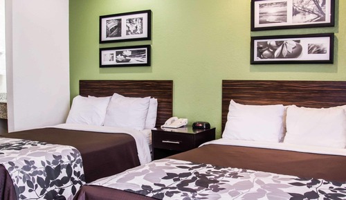   2 Double Beds, Nonsmoking, Pet Friendly 