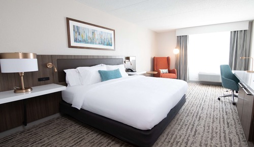 Room, 1 King Bed