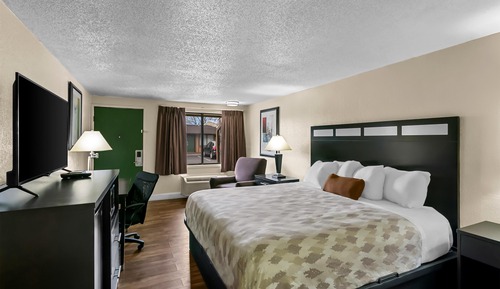 Room, 1 King Bed