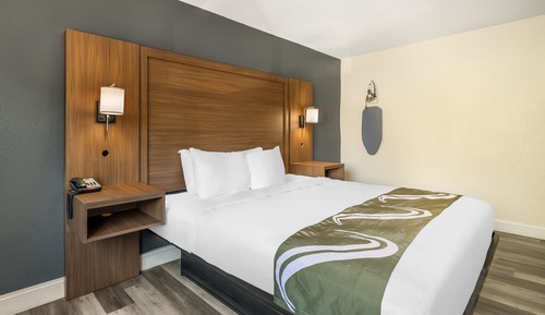 Room, 1 King Bed, Non Smoking