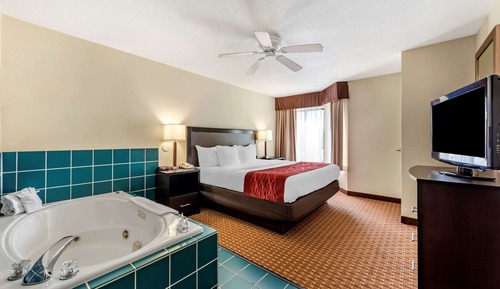 Suite, 1 King Bed