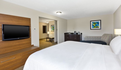 Suite, 1 King Bed