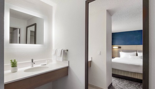 Studio, 1 King Bed with Sofa bed (Mobility Accessible, Roll-In Shower)