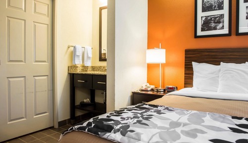 Standard Room, 1 King Bed, Non Smoking