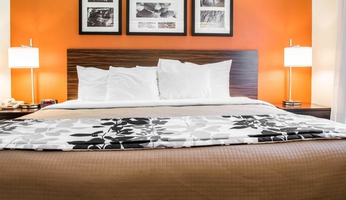 Room, 1 King Bed, Accessible, Non Smoking