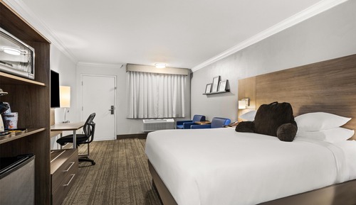 Room, 1 Queen Bed, Accessible, Non Smoking